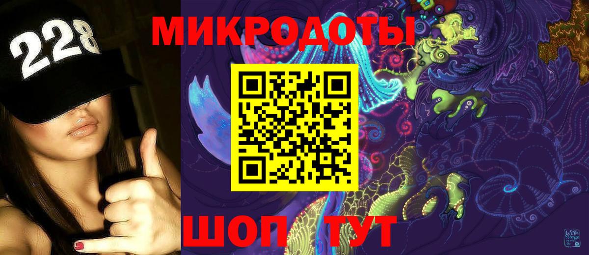 Галлюциногенные грибы Psilocybe Партизанск