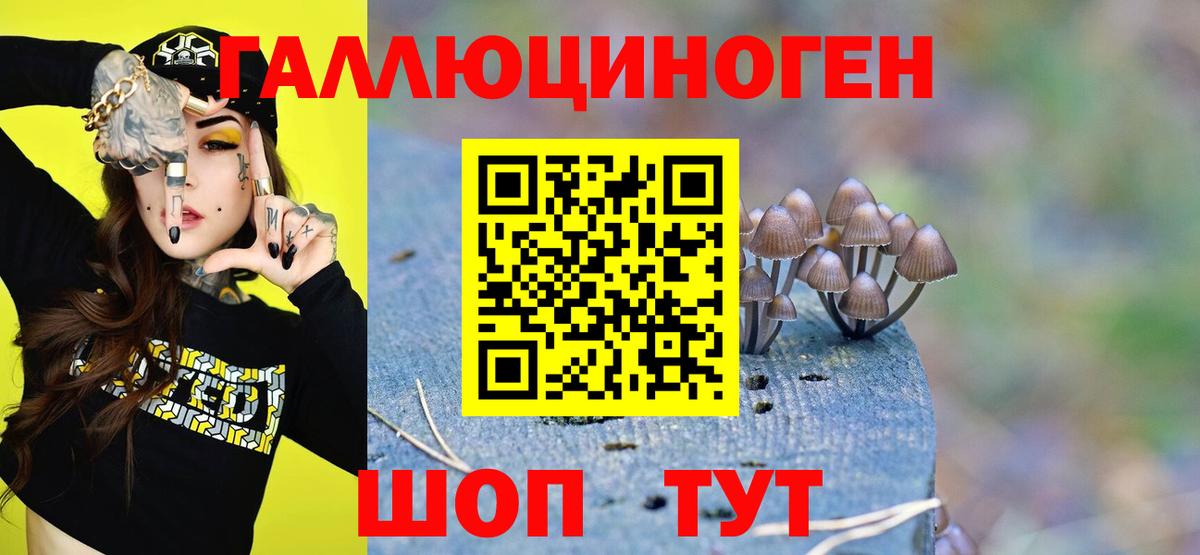 Псилоцибиновые грибы MAGIC MUSHROOMS  Вход с VPN  Партизанск 